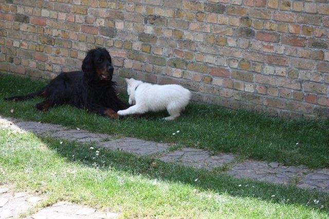 Fotos/VervolgI-nest/vervolg/Imix/IMG_5227.JPG