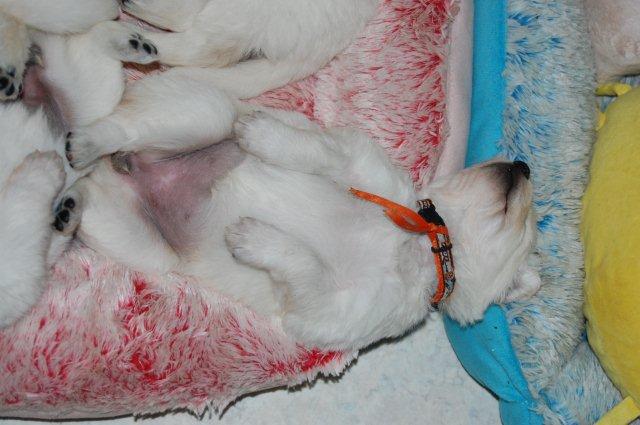 Fotos/I-nest 2010/week3/DSC_0035.JPG