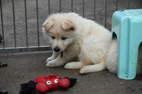 Fotos/VervolgI-nest/week 6/IMG_3088.jpg