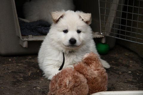 Fotos/VervolgI-nest/week 6/IMG_3303.jpg