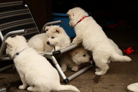 Fotos/VervolgI-nest/week 6/IMG_3399.jpg