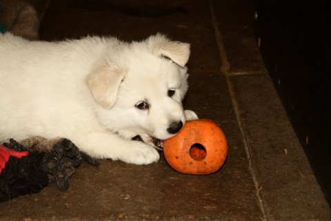 Fotos/VervolgI-nest/week 6/IMG_3413.jpg