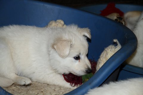 Fotos/VervolgI-nest/week 6/IMG_3423.jpg