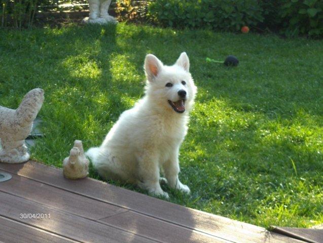 Fotos/2011vervolgKnest/Bruce/HPIM3825 (640x482) (640x482).jpg