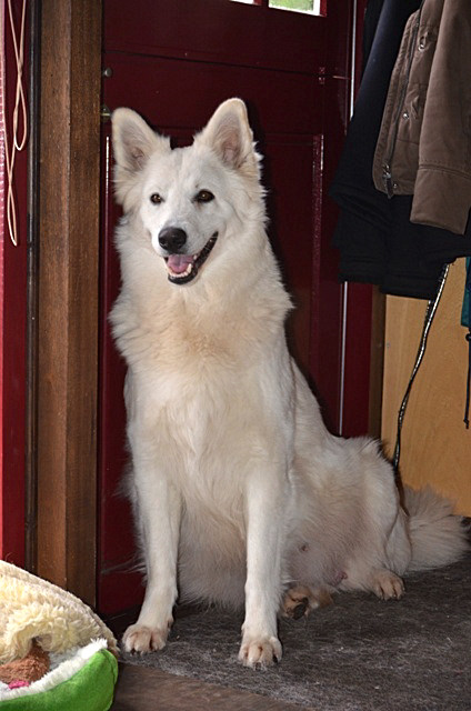 Fotos/2011KnestFennah/Dracht/DSC_5126.JPG