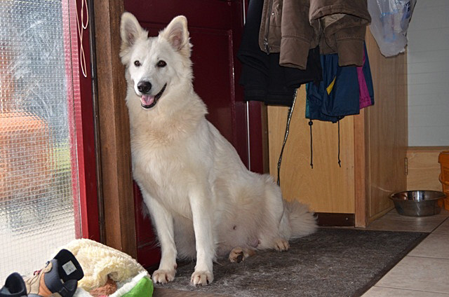 Fotos/2011KnestFennah/Dracht/DSC_5127.JPG