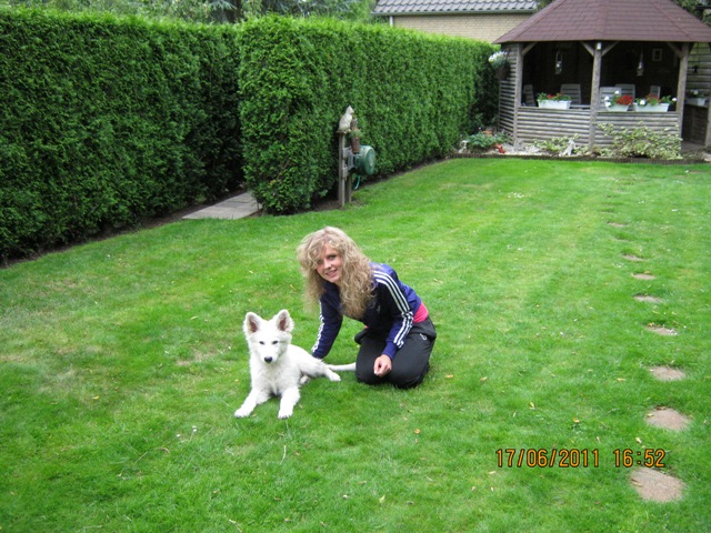 Fotos/2011vervolgKnest/Noa/puppy 093.JPG