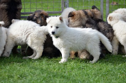 Fotos/2011KnestFennah/week7/DSC_8396.JPG