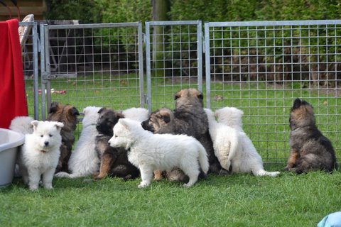 Fotos/2011KnestFennah/week7/DSC_8397.JPG