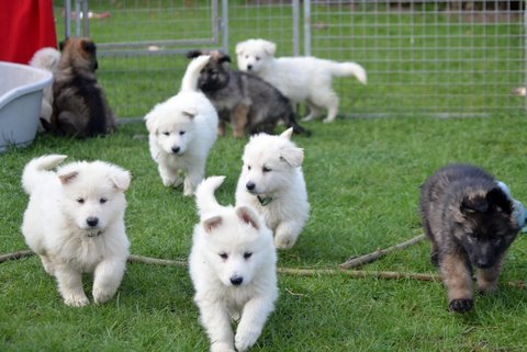 Fotos/2011KnestFennah/week7/DSC_8413.JPG