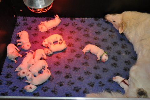 Fotos/2012 M-Nest Fennah/Week1/DSC_0043.JPG