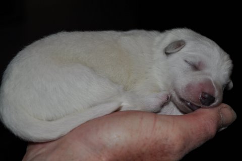 Fotos/2012 M-Nest Fennah/Week1/DSC_0059.JPG