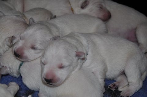 Fotos/2012 M-Nest Fennah/Week1/DSC_0061.JPG