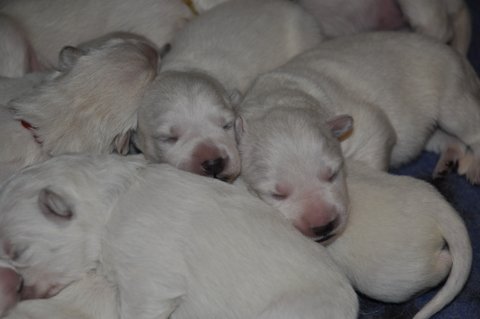 Fotos/2012 M-Nest Fennah/Week1/DSC_0062.JPG