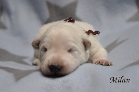 Fotos/2012 M-Nest Fennah/Week1/portret/DSC_0077.JPG