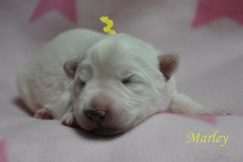 Fotos/2012 M-Nest Fennah/Week1/portret/DSC_0078.JPG