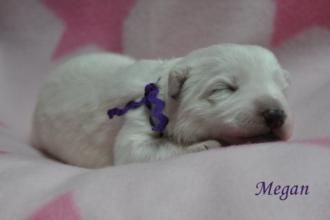 Fotos/2012 M-Nest Fennah/Week1/portret/DSC_0093.JPG