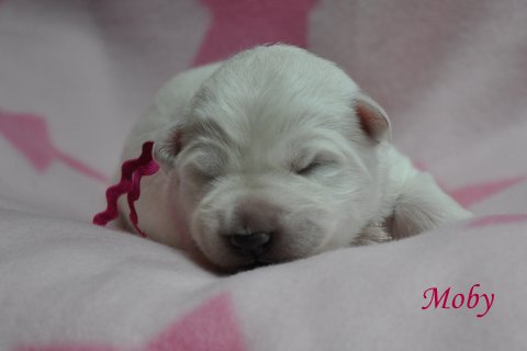 Fotos/2012 M-Nest Fennah/Week1/portret/DSC_0102.JPG