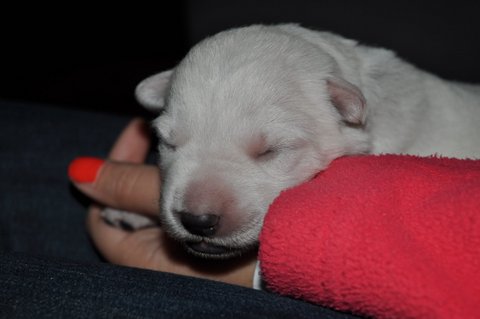 Fotos/2012 M-Nest Fennah/Week1/DSC_0129.JPG