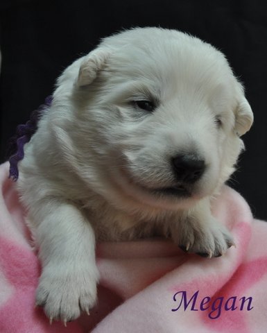 Fotos/2012 M-Nest Fennah/Week2/DSC_0188.JPG