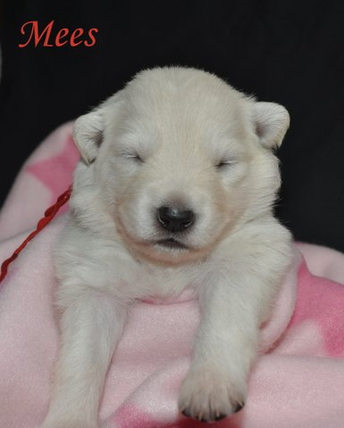 Fotos/2012 M-Nest Fennah/Week2/DSC_0212.JPG