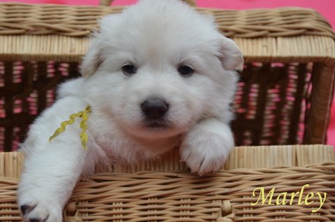 Fotos/2012 M-Nest Fennah/Week4/DSC_4644.JPG