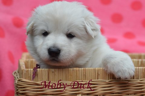Fotos/2012 M-Nest Fennah/Week4/DSC_4654.JPG