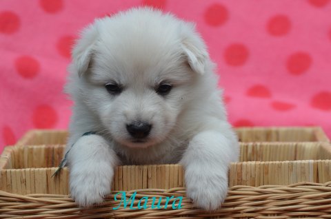 Fotos/2012 M-Nest Fennah/Week4/DSC_4661.JPG