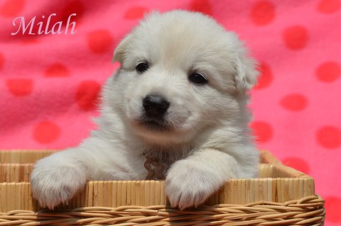 Fotos/2012 M-Nest Fennah/Week4/DSC_4670.JPG