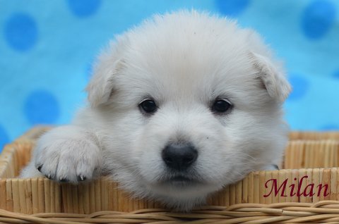 Fotos/2012 M-Nest Fennah/Week4/DSC_4722.JPG