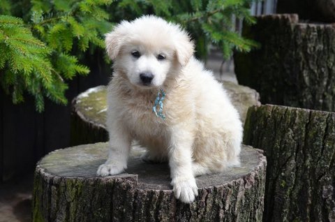 Fotos/2012 M-Nest Fennah/week6/DSC_5096.JPG