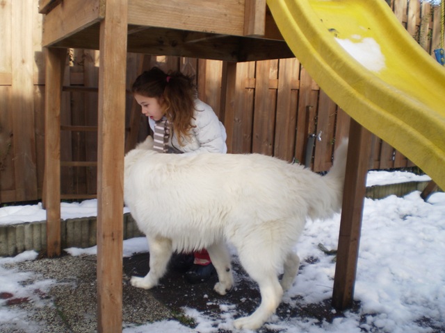 Fotos/Nest2009I/boedha/009.JPG