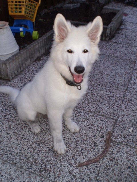 Fotos/Nest2009I/boedha/026.JPG
