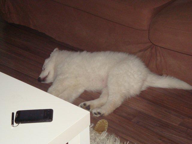 Fotos/bink/22-01-2010 169.JPG