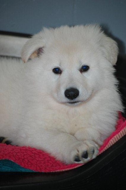 Fotos/Indywk62009/week7/Bink.JPG