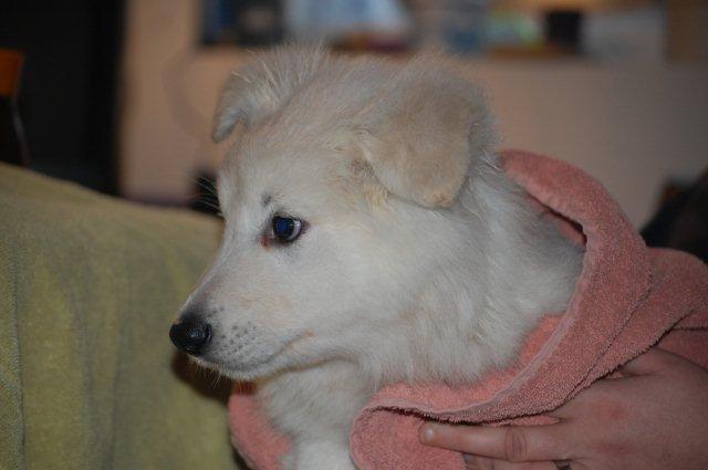 Fotos/Indywk62009/week7/DSC_0001.JPG