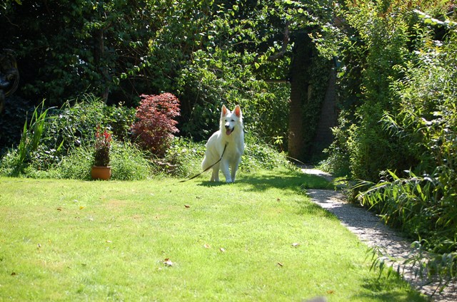 Fotos/Roef/ Roefje/DSC_9792.JPG