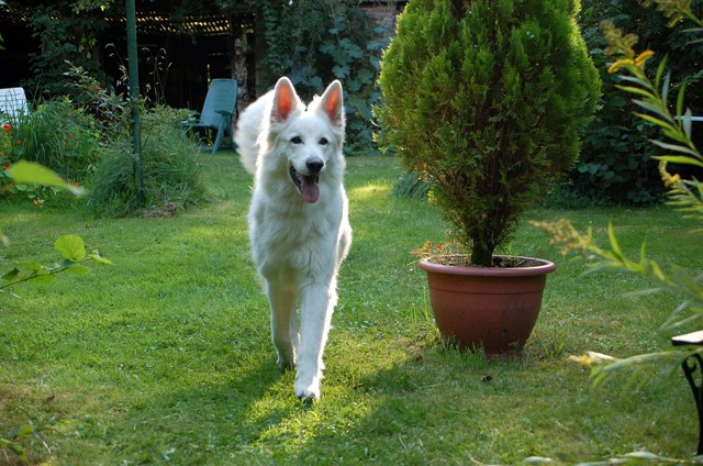Fotos/Roef/ Roefje/DSC_9836.JPG