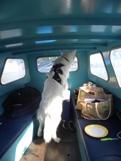 Fotos/Nest2008N/Vervolg/Kayo/DSCN3788.JPG