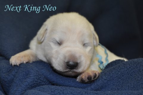 Fotos/2012 N-Nest Sterre/Week1/DSC_0255.JPG
