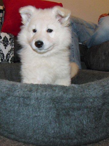 Fotos/2010vervolgJnest/Jade/CIMG2746.JPG
