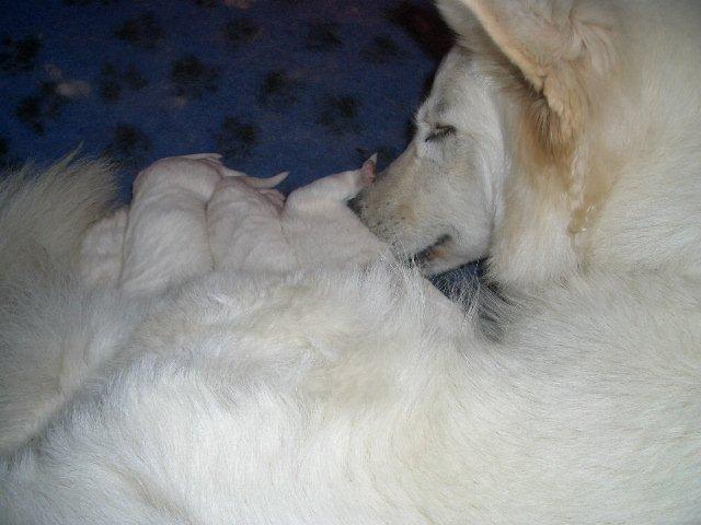 Fotos/NestWillow 2010/nest2010/week1/CIMG1867.jpg