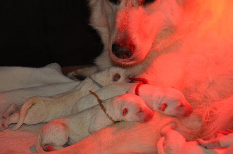 Fotos/2011 L-Nest/DSC_0224.JPG