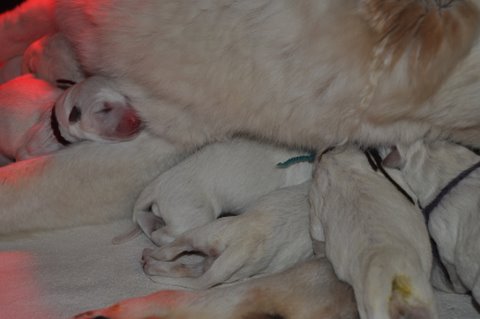 Fotos/2011 L-Nest/DSC_0226.JPG