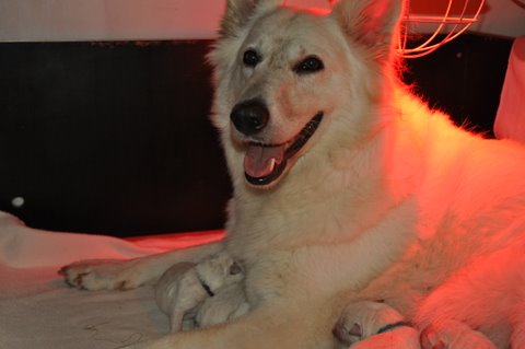 Fotos/2011 L-Nest/DSC_0228.JPG