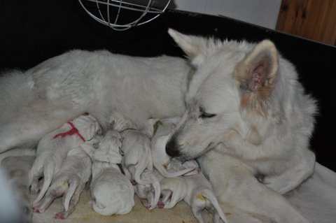 Fotos/2011 L-Nest/DSC_0234.JPG