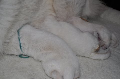 Fotos/2011 L-Nest/week1/DSC_0303.JPG