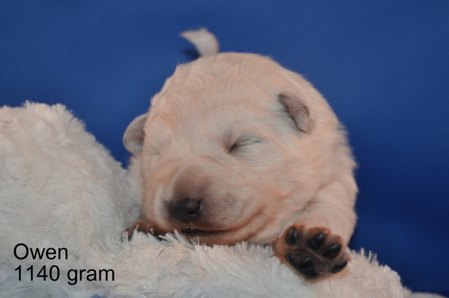 Fotos/Willow 2013/week 1/Owen1.jpg