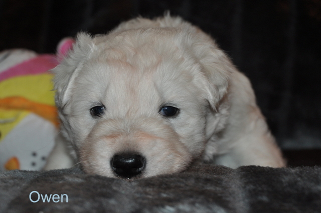 Fotos/Willow 2013/week 3/lblauw3.jpg