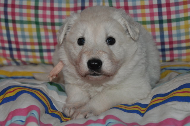 Fotos/Willow 2013/week 4/Oonah4.jpg